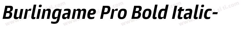Burlingame Pro Bold Italic字体转换